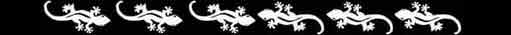20070131141614-tirasalamandra.jpg