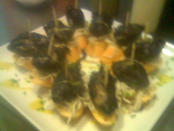20070219215401-chipitempuratinta1.jpg